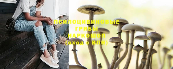 спайс Медногорск