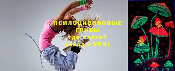 спайс Медногорск