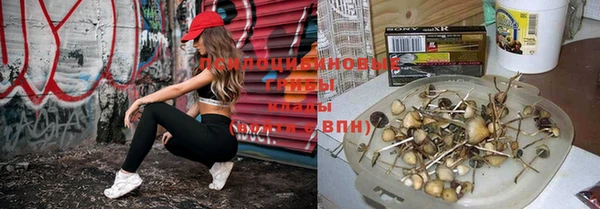 apvp Медвежьегорск